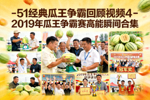 51经典瓜王争霸回顾视频4 - 2019年瓜王争霸赛高能瞬间合集
